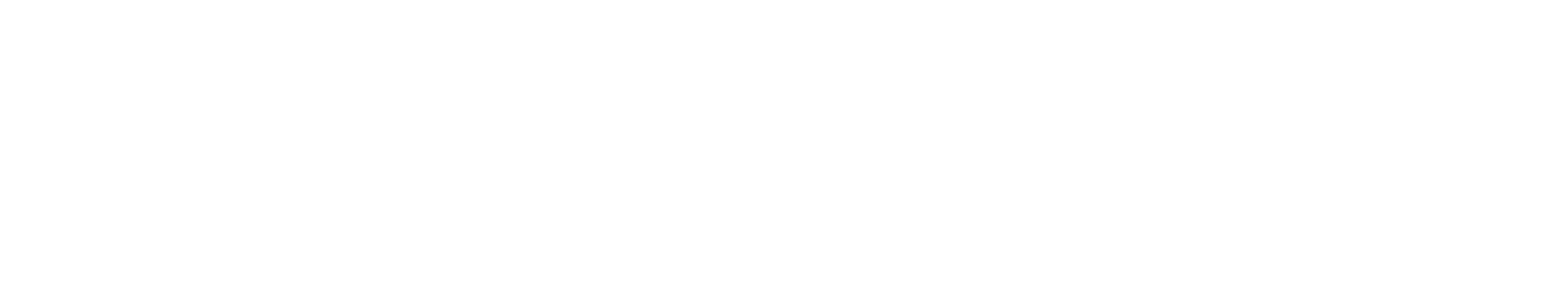 skywing strategies